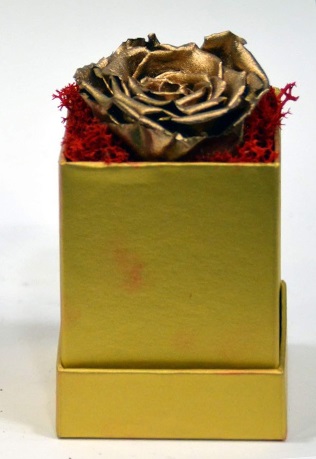 Forever Rose Golden Beauty - Διατηρημένα Τριαντάφυλλα σε κουτί