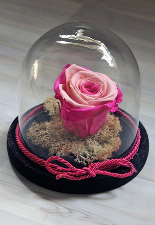 Forever Roses “Baby Pink” - Beauty and the Beast