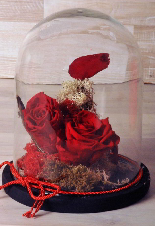 Forever Roses “Red Passion” - Beauty and the Beast