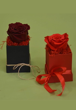 Forever Roses “Royal red“ & “Red passion“ Διατηρημένα Τριαντάφυλλα σε Κουτί Πολυτελείας