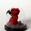 Forever rose “Deep love“